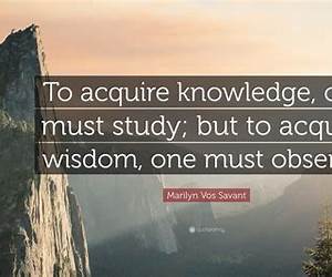 Quotes of Wisdom: 365 Days of Quotes of Wisdom