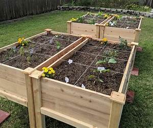 Raised Bed Vegetable Gardening Complete: Growing Fruit And Vegetables In Raised Bed Planters (No Dig Gardening Techniques) Raised Bed Vegetable Gardening Complete: Growing Fruit And Vegetables In Raised Bed Planters (No Dig Gardening Techniques)