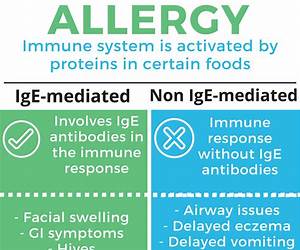 Recipes for Food Intolerance and AllergyThermomix TM5Gluten, egg and dairy free: Thermomix TM5