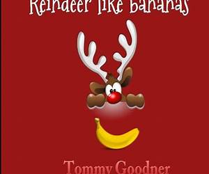 Reindeer like bananas: funny, illustrated, book about animal facts for children and adults