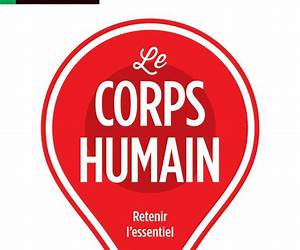 Reperes Pratiques: Histoire De Franceretenir l'essentiel (French Edition) Reperes Pratiques: Histoire De Franceretenir l'essentiel (French Edition)