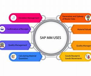 SAP Materials Management (with CD-ROM)