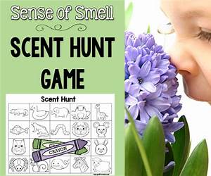 Scent of the Hunt (Black Hills Wolves, #38)