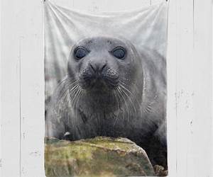 Seal's Gift Seal's Gift