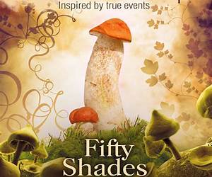 Shades of Wonderland Shades of Wonderland