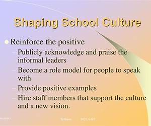 Shaping School Culture