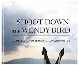 Shoot Down the Wendy Bird: A Collection of Short Stories \u0026 Poetry