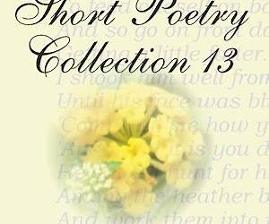 Short Poetry Collection 013 (Librivox Short Poetry, #13) Short Poetry Collection 013 (Librivox Short Poetry, #13)
