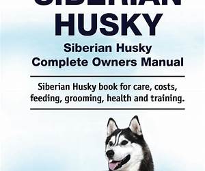 Siberian Husky. Siberian Husky Dog Complete Owners Manual. Siberian Husky book for care, costs, feeding, grooming, health and training.