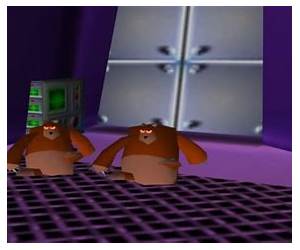 Silicon Valley Bear