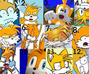 Silly Tails Silly Tails