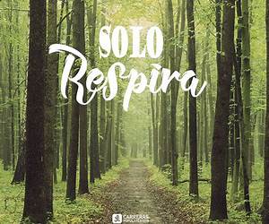 Solo respira