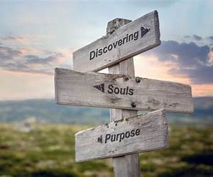 Soul Purpose: Finding the Courage to Fly