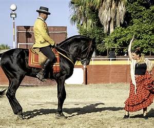 Spanish Nights: The Secret of Sedo Mare