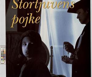 Stortjuvens pojke : en rövarhistoria från Lasse-Majas dagar