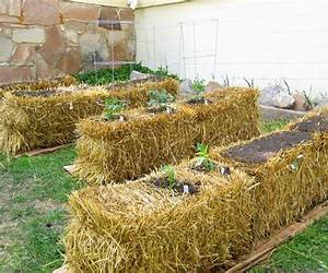 Straw Bale Gardening for the Urban Dweller: The Comprehensive Guide to Growing Vegetables, Fruits and Herbs in Straw Bale Gardens Straw Bale Gardening for the Urban Dweller: The Comprehensive Guide to Growing Vegetables, Fruits and Herbs in Straw Bale Gardens