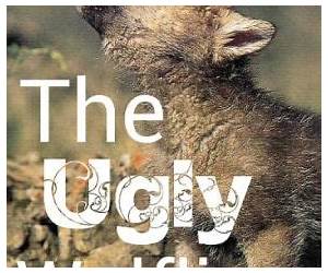 Strays [The Ugly Wolfling: Lone Wolf]