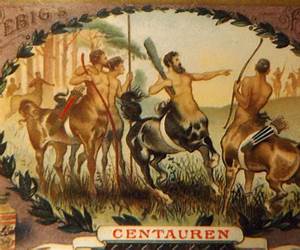 Summer of the Centaur