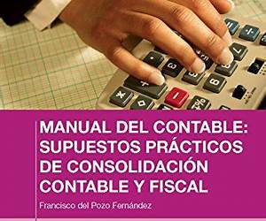 Supuestos prácticos de consolidación contable y fiscal (Manual del contable en consolidación (de empresa multinacional) nº 4) (Spanish Edition)