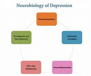 Systems Neuroscience in Depression Systems Neuroscience in Depression