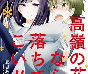 Takane no Hana Nara Ochitekoi!!, Vol. 1