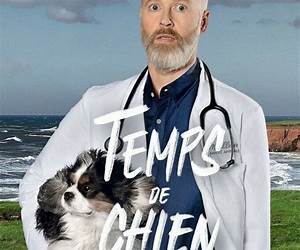 Temps de chien: Chronique animale Temps de chien: Chronique animale