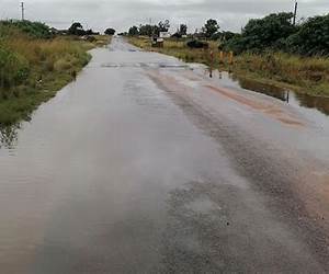 Tenders and the Fall of Limpopo Tenders and the Fall of Limpopo