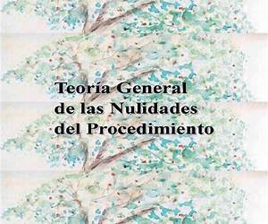 Teoría General de las Nulidades Teoría General de las Nulidades