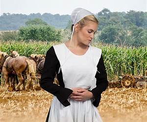 The Amish Arrangement The Amish Arrangement
