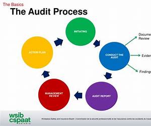 The Audit Process