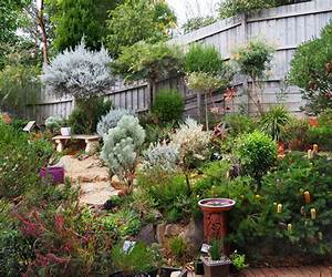 The Australian Native Garden: A Practical Guide The Australian Native Garden: A Practical Guide