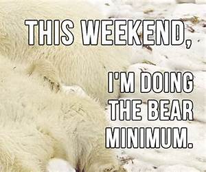 The Bear Minimum The Bear Minimum