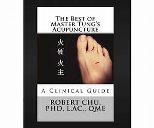 The Best of Master Tung's Acupuncture: A Clinical Guide