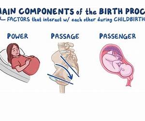 The Birth The Birth