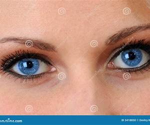 The Blue Mirror Eyes The Blue Mirror Eyes