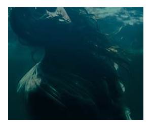 The Body In The Water The Body In The Water