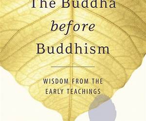 The Buddha before Buddhism: Wisdom from the Early Teachings