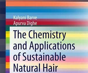 The Chemistry and Applications of Sustainable Natural Hair Products (SpringerBriefs in Molecular Science) The Chemistry and Applications of Sustainable Natural Hair Products (SpringerBriefs in Molecular Science)