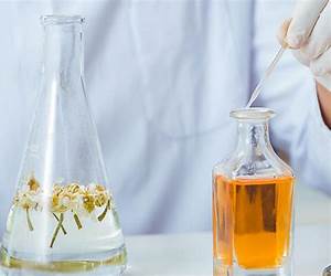 The Chemistry of Fragrances: From Perfumer to Consumer (RSC Paperbacks)
