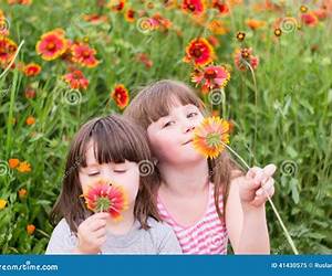 The Children and the Flowers The Children and the Flowers