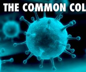 The Common Cold: A Zombie ChroniclePlaying God (TCC: A Zombie Chronicle Book 4)
