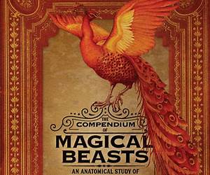 The Compendium of Magical Beasts: An Anatomical Study of Cryptozoology