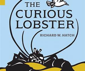 The Curious Lobster The Curious Lobster