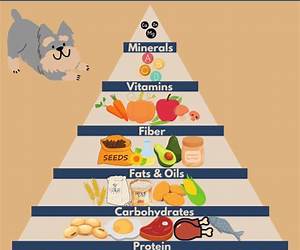 The Dog Diet: Eight weeks to a happier, healthier dog: Eight weeks to a slimmer, happier, healthier dog The Dog Diet: Eight weeks to a happier, healthier dog: Eight weeks to a slimmer, happier, healthier dog