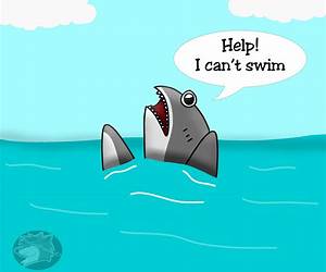 The Drowning Shark (A Sierra Rouge Adventure, #1)