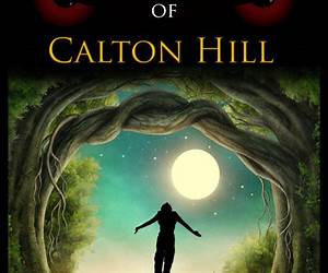 The Fairy Boy of Calton Hill (The Fairy Boy Chronicles, #1) The Fairy Boy of Calton Hill (The Fairy Boy Chronicles, #1)
