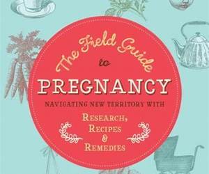 The Field Guide to Pregnancy: Navigating New Territory with Research, Recipes, and Remedies The Field Guide to Pregnancy: Navigating New Territory with Research, Recipes, and Remedies