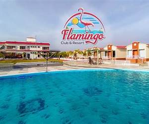The Flamingo Resort: Florida Zombie Apocalyspe (Florida Zombie Apocalypse Book 3)