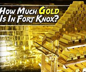 The Fort of Gold The Fort of Gold
