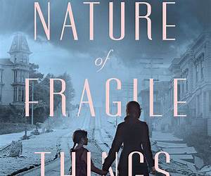 The Fragile Things (Part II)